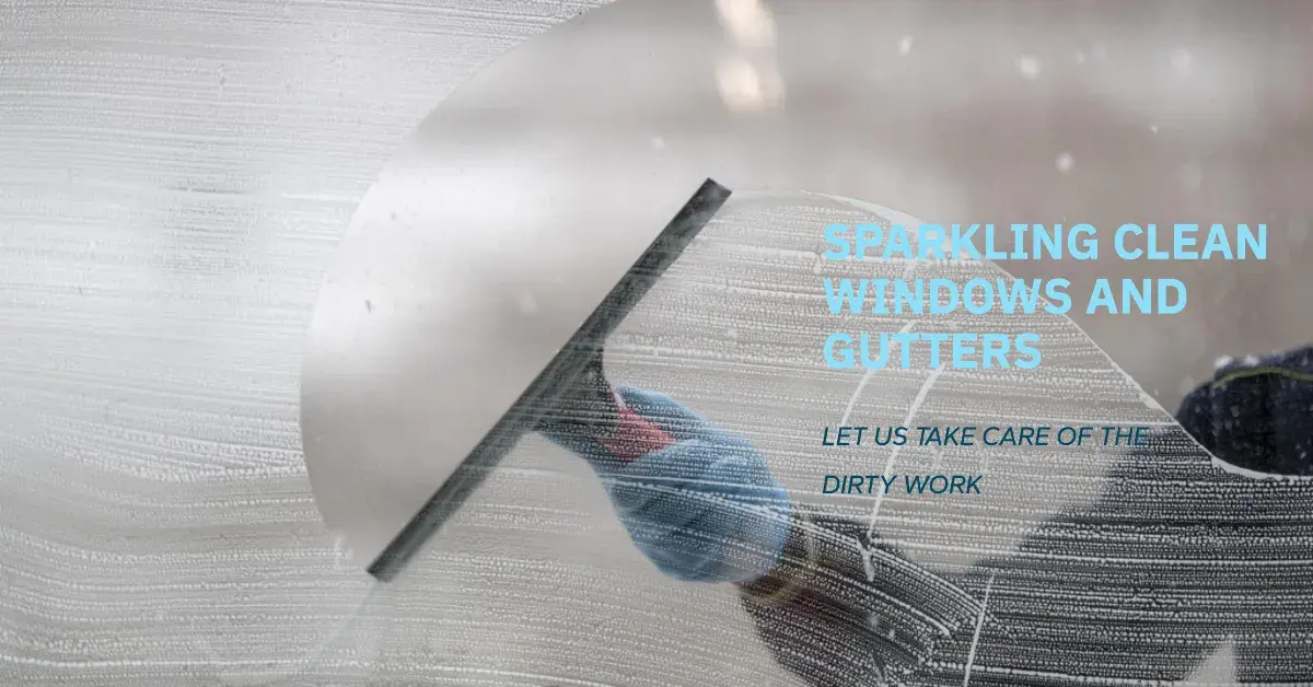 Professional vs. DIY Window Cleaning: What's Best for Your Home?