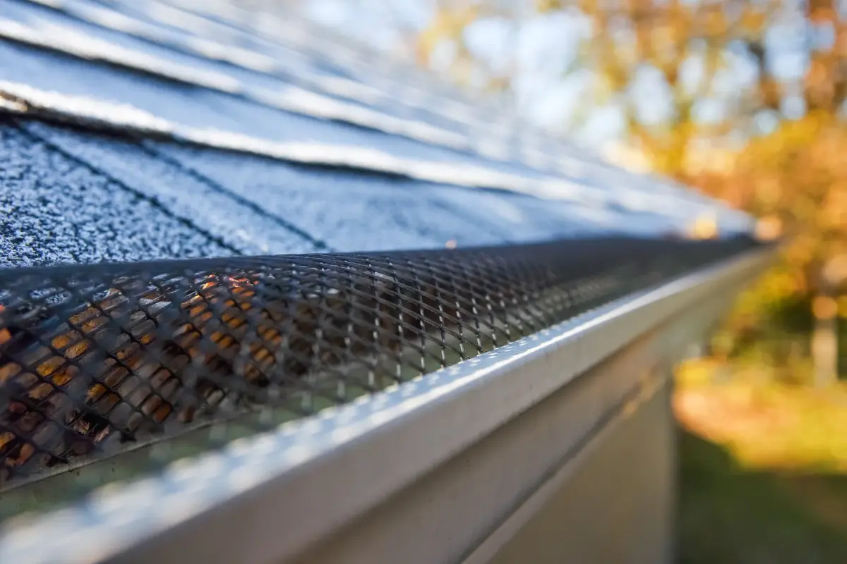 Top Tips from House Gutter Cleaners | Essential Maintenance Guide