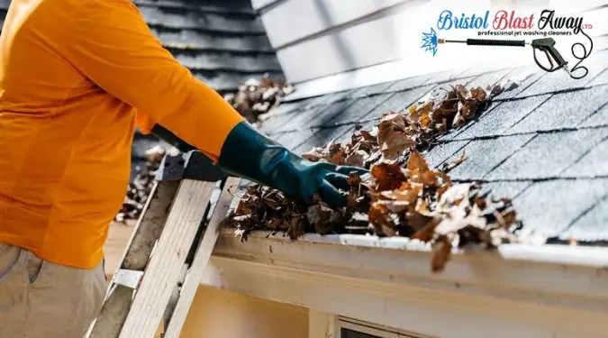 Top 5 Gutter Cleaning Deals to Save you Time and Money