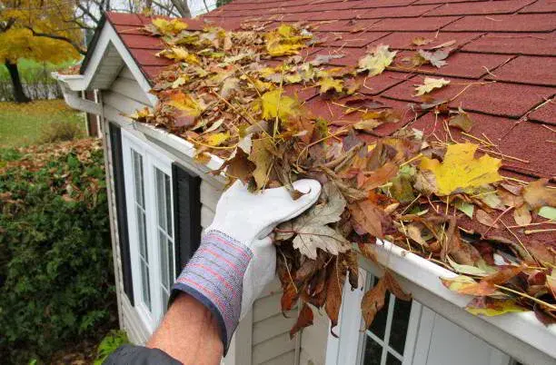 How Often Should You Clean Your Gutters? A Seasonal Guide by Busy Bee Window & Gutter Cleaning