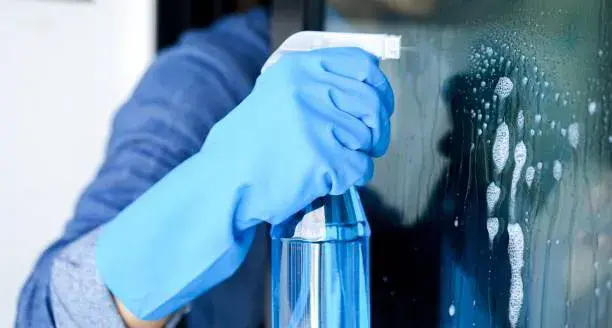 Enhancing Your Home's Curb Appeal: The Importance of Professional Window and Gutter Cleaning