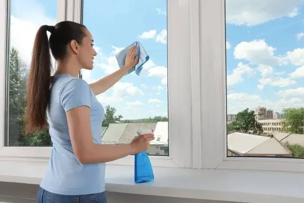 Magic of Sparkling Windows: Why Professional Cleaning Wins Every Time