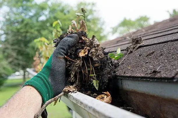 Investing in Prevention: How Regular Gutter Cleaning Saves Money
