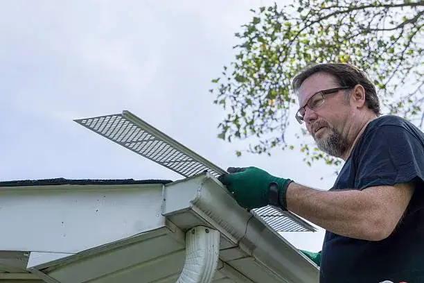 The Essential Guide to Maintaining Beautiful, Functional Outdoor Spaces with Professional Gutter Guard Installation
