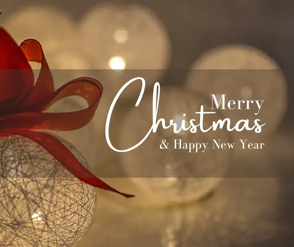 Merry Christmas from Busy Bee Window and Gutter Cleaning!