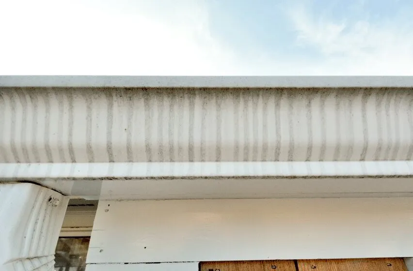 Gutter Cleaning Questions by Busy Bee