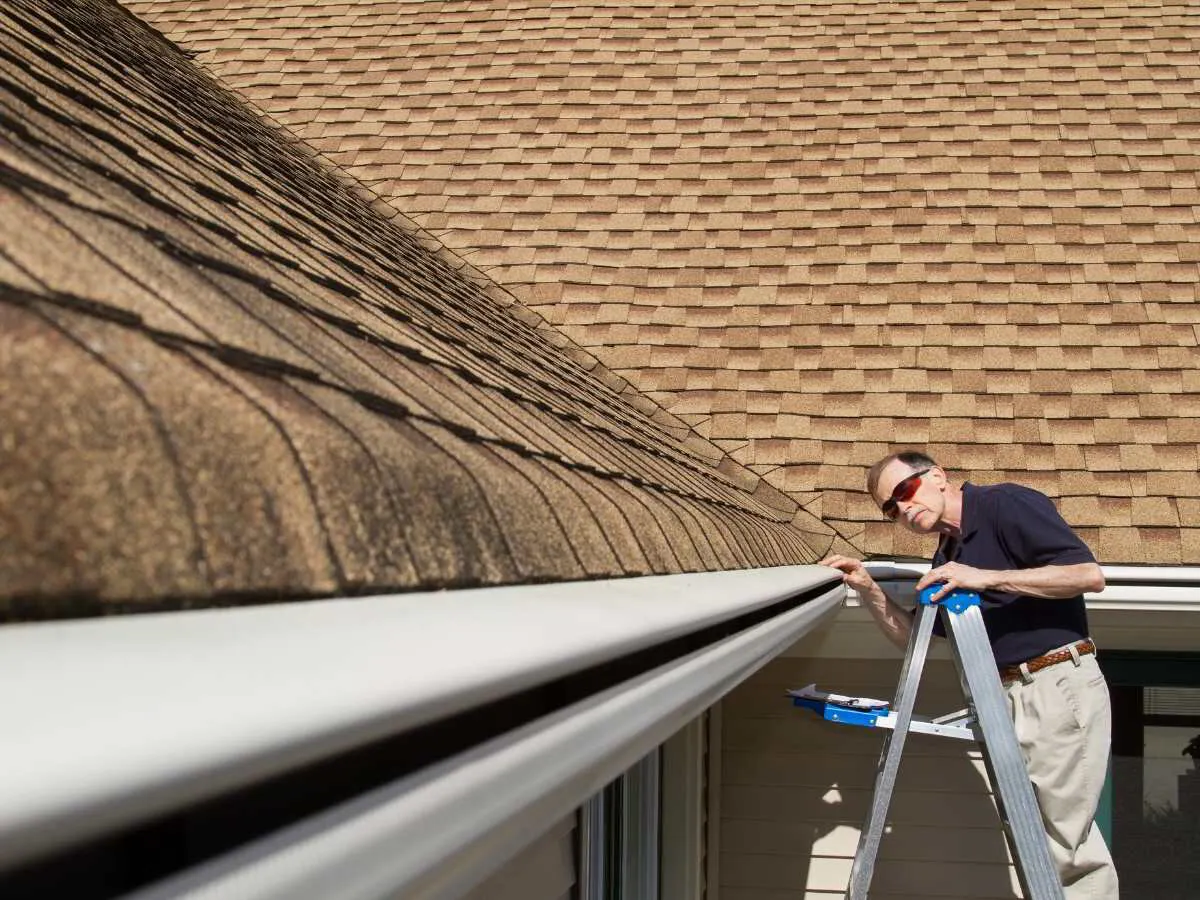 Fall Gutter Cleaning by Busy Bee