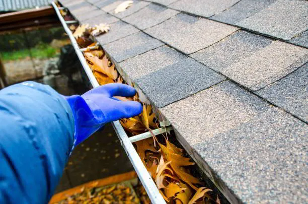 Professional gutter guard installation service by Busy Bee