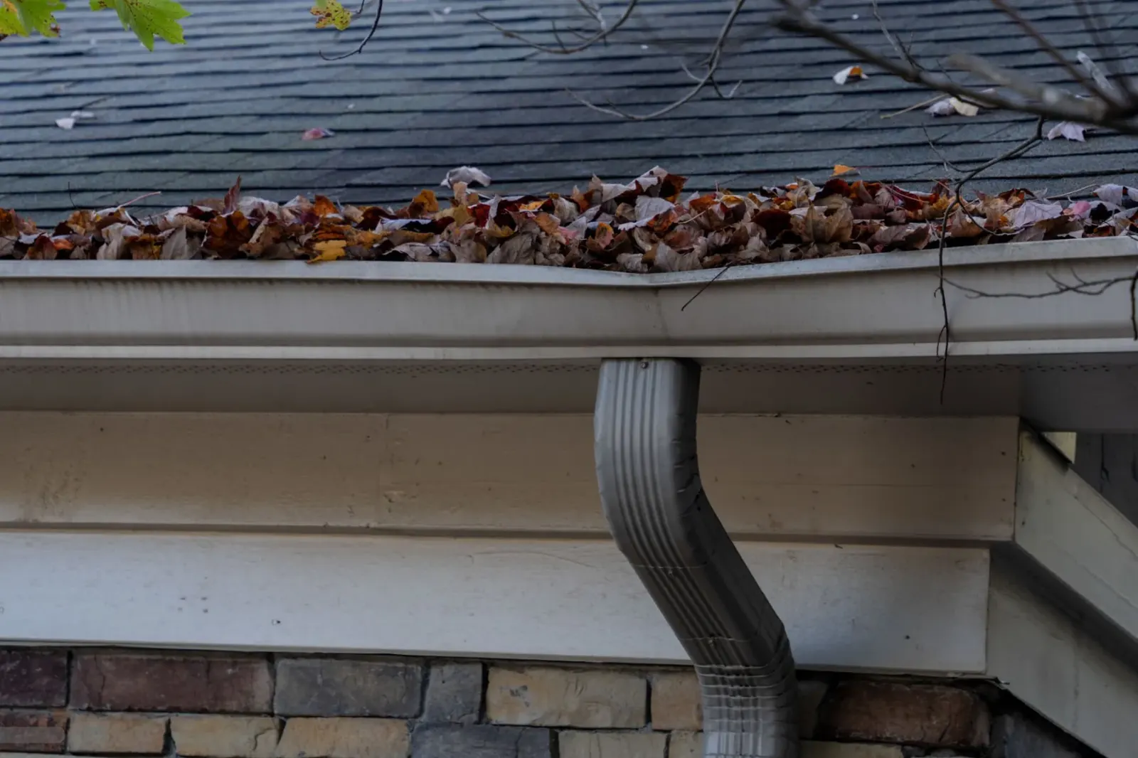 Window cleaning in Brookline, MA