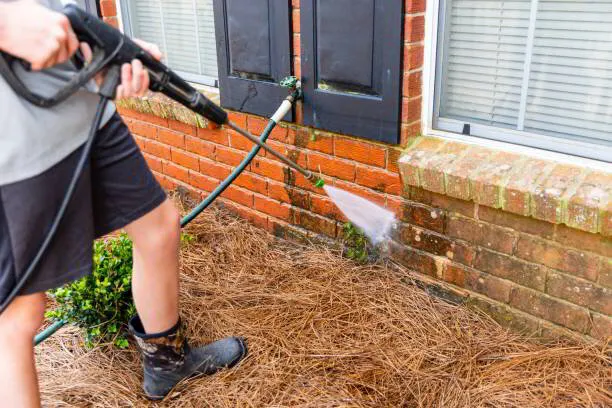 Gutter Cleaning in Clinton
