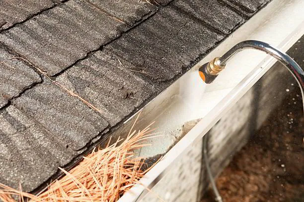 Gutter Cleaning by Busy Bee